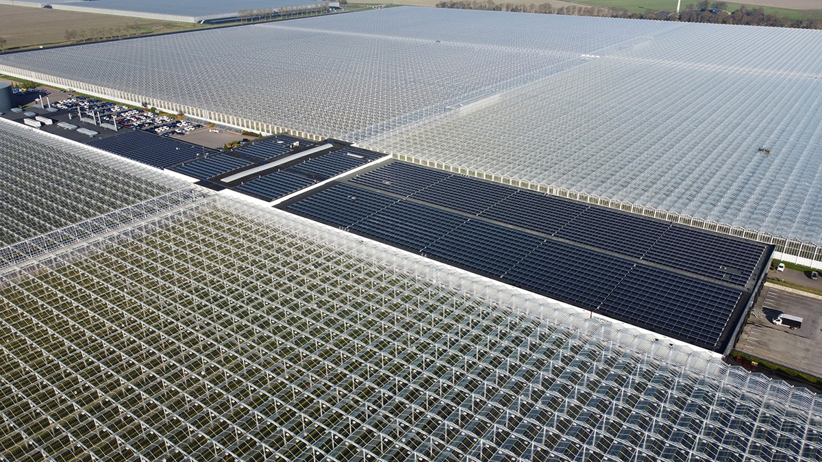 Zonnepanelen project 2